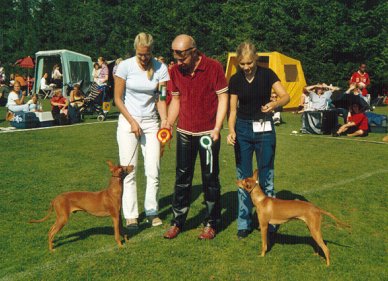 Photo: Tarja Matikainen