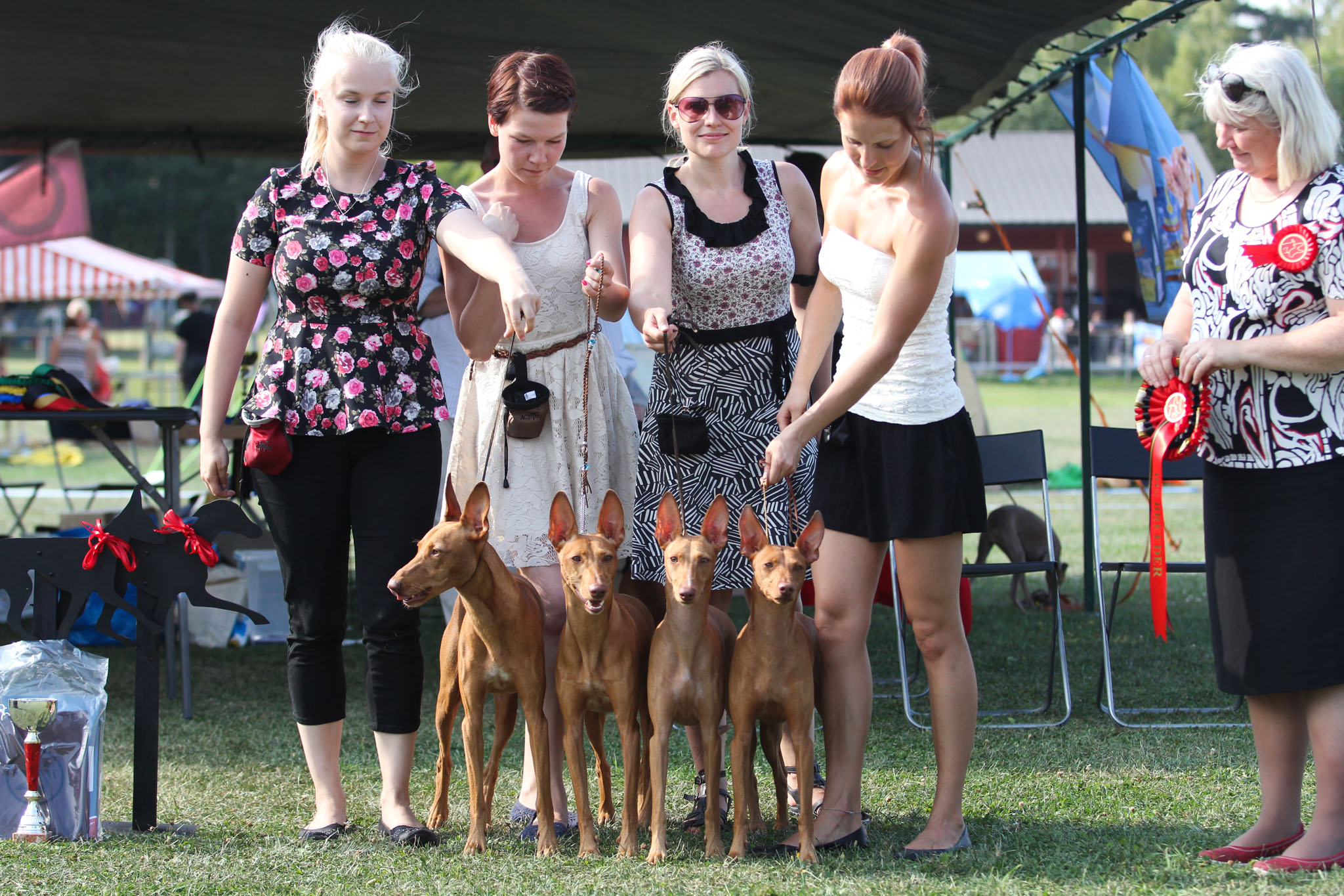 bis1-breedersgroup-fb