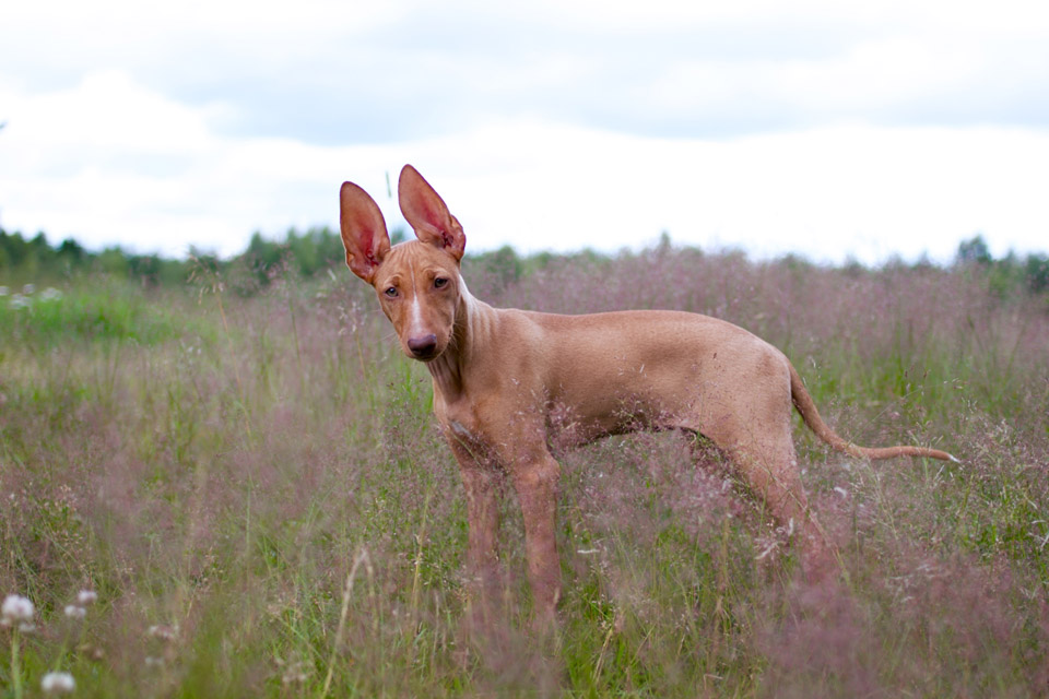 tilda059