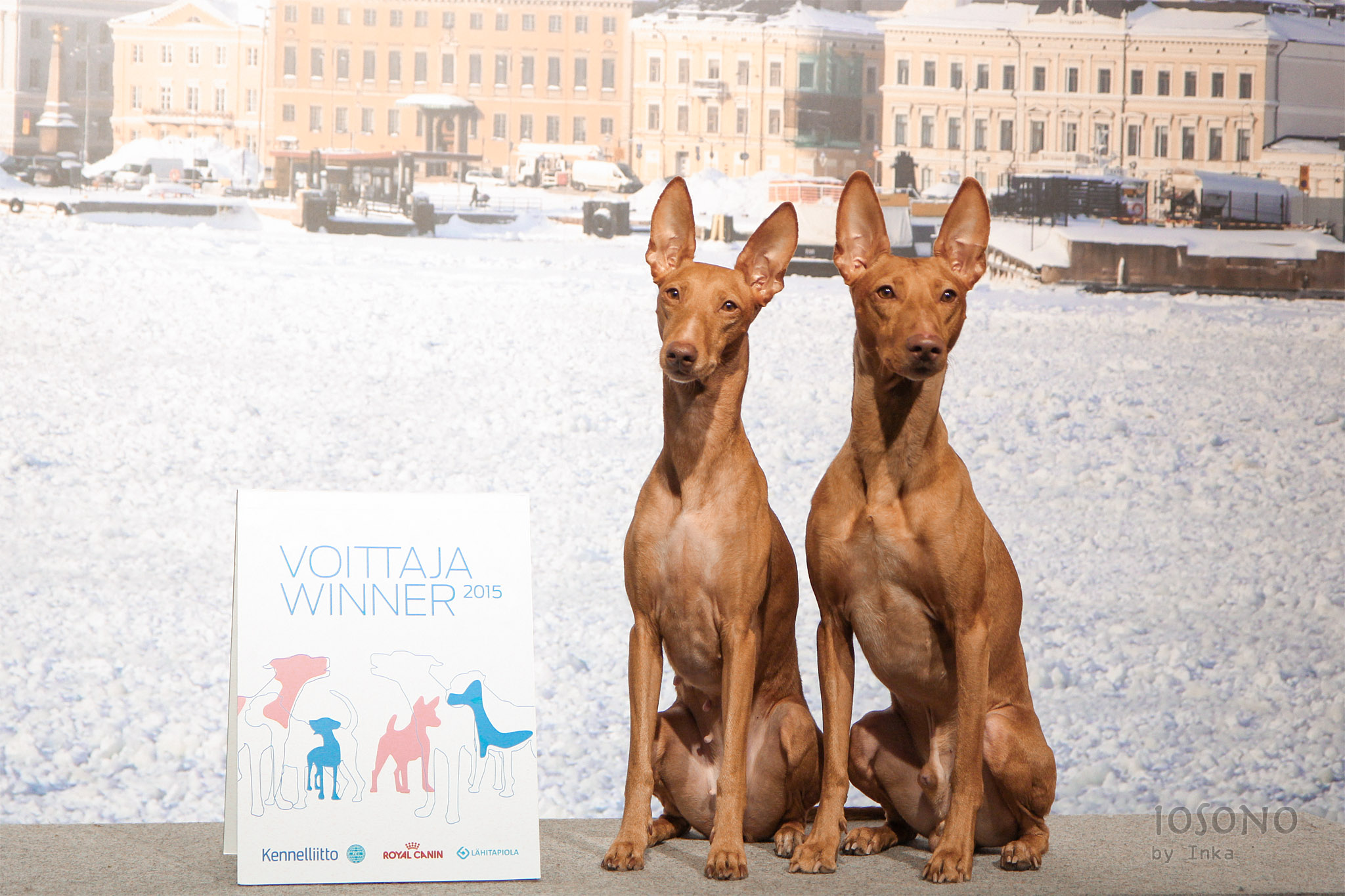 ventisiennavoittaja