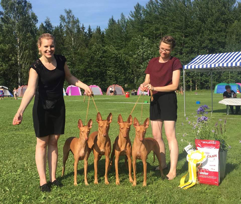 kasvissvkl16