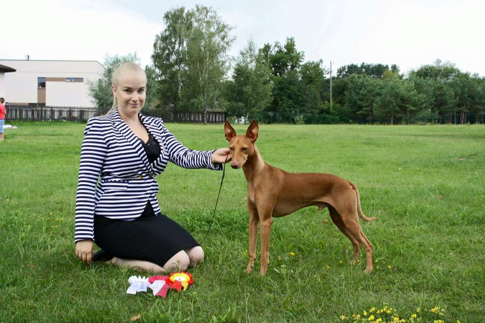 teppoadazi
