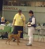 Milla under judging