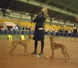 BOS Mickey and BOB Milla at Lahti INT show 27th April 2002