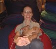 Lucia Bornstein with the puppies in Stockmann department store