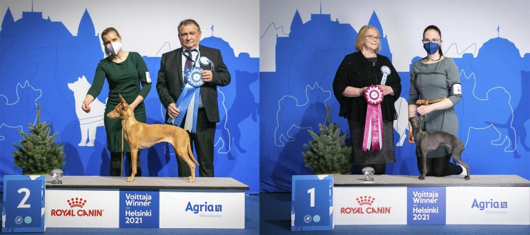 Voittaja 2021 -näyttelyviikonloppu